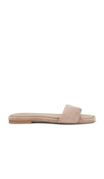 Steve Madden Lumina Slides