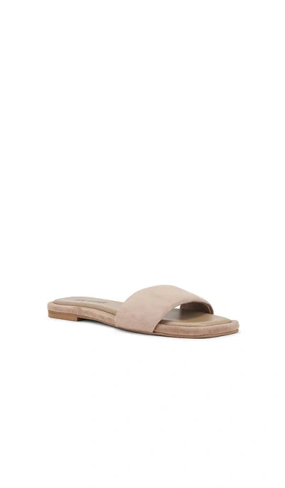 Steve Madden Lumina Slides