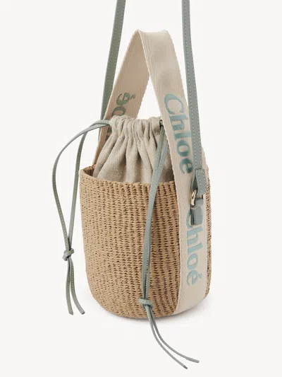 Chloé Woody Small Leather-trimmed Raffia Basket Bag In Pattern