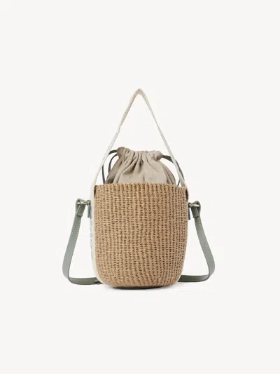 Chloé Woody Small Leather-trimmed Raffia Basket Bag In Pattern