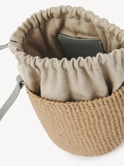 Chloé Woody Small Leather-trimmed Raffia Basket Bag In Pattern