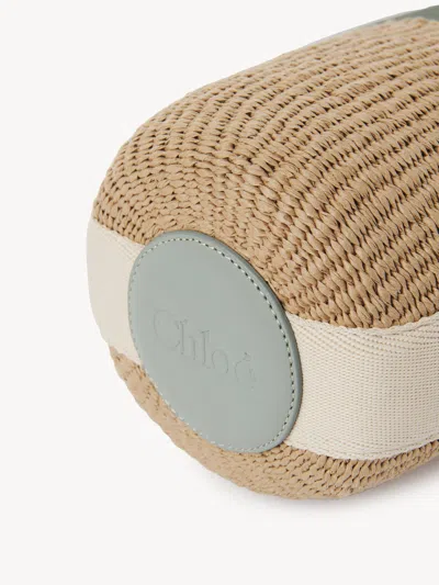 Chloé Woody Small Leather-trimmed Raffia Basket Bag In Pattern