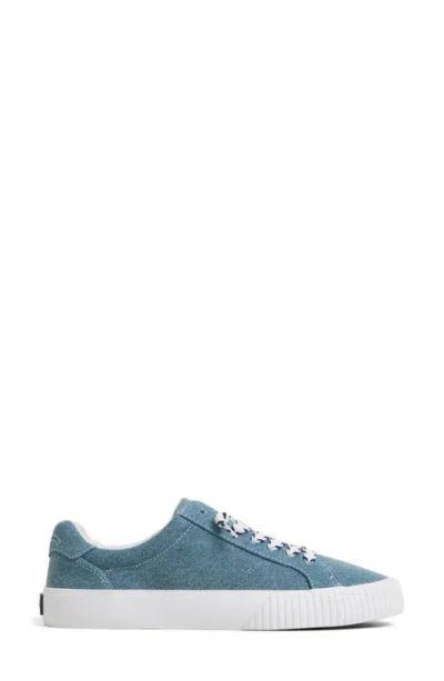 Sperry Bermuda Sneaker In Blue