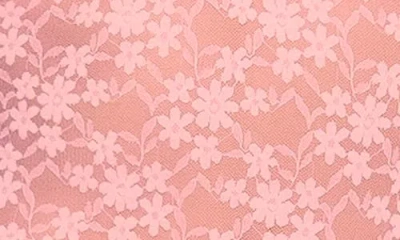 Mapalé Mapale Lace Bodysuit In Pink