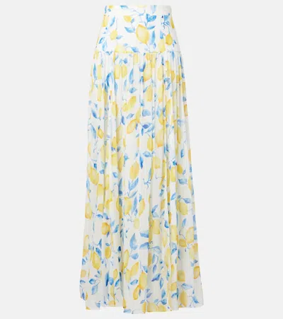Alexandra Miro Jamie Sheer Maxi Skirt In Multi