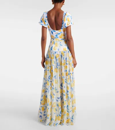 Alexandra Miro Jamie Sheer Maxi Skirt In Multi