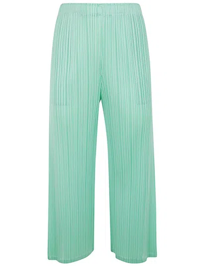 Issey Miyake Monthly Colors Febraury Pants