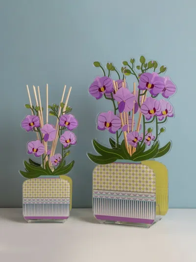 LIVINIA 大号扩香器