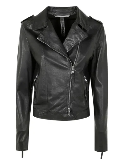 The Jackie Leathers Cicolne Leather Jacket In Black