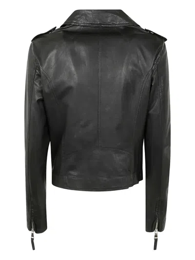The Jackie Leathers Cicolne Leather Jacket In Black