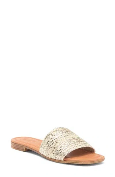 Seychelles Flat Sandal In Multi