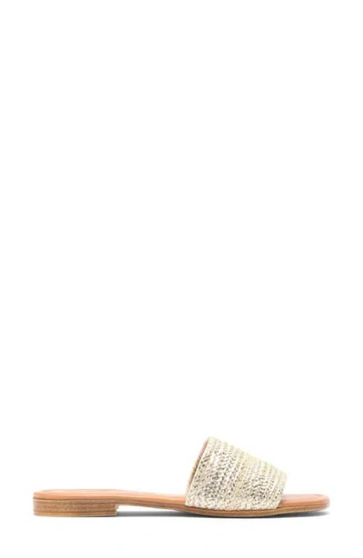 Seychelles Flat Sandal In Multi