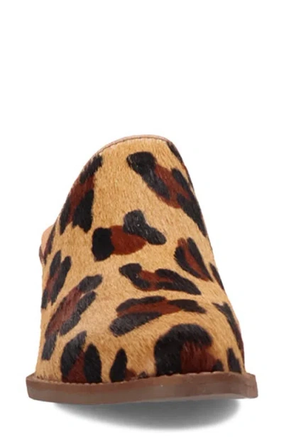 Dingo Calico Womens Pointed Closed Toe Mules