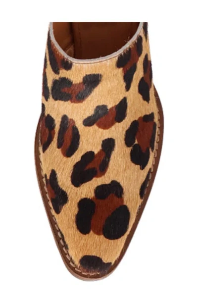 Dingo Calico Womens Pointed Closed Toe Mules