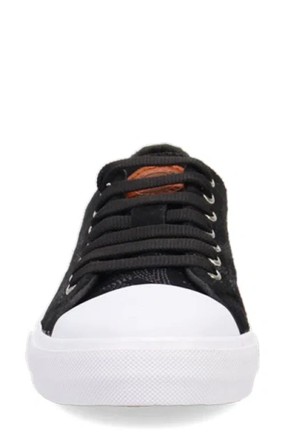 Dingo Campus Sneaker In Black