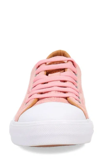 Dingo Campus Sneaker In Pink