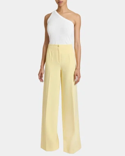 Santorelli Lily Wide Leg Pants With Slanted Side Pockets In Techno Crepe