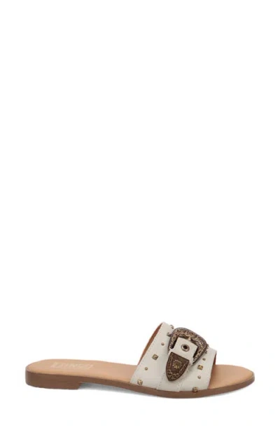 Dingo Womens Lariat Slide Sandals In Multi