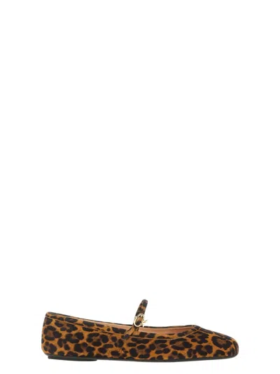 Gianvito Rossi Carla Leopard Print Ballet Flats