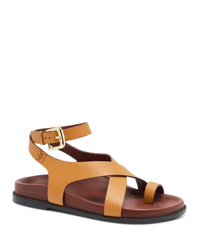 Free People Anya Ankle Strap Toe Loop Sandal In Brown