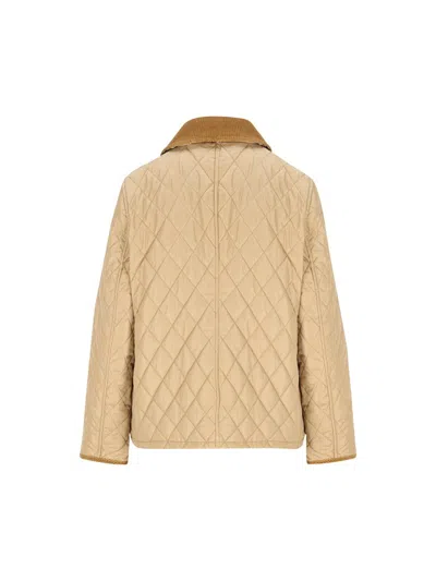 Burberry Padded Jackets With Corduroy Collar In Neutral