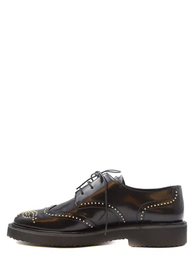 Giuseppe Zanotti Derby In Brown