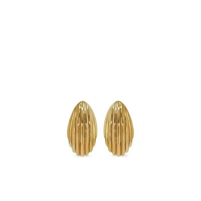 Anine Bing Brass Earrings In Gold