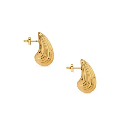 Anine Bing Brass Earrings In Gold