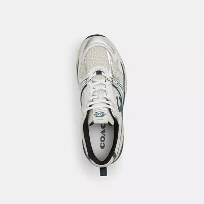 Coach Mesh Sneaker In Neutral