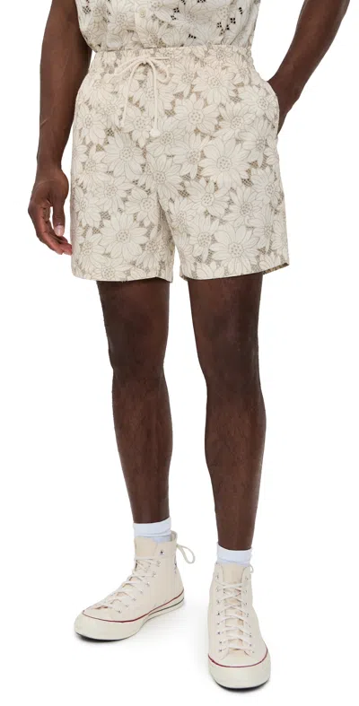 Rails Logan Shorts 6.25 Khaki White Sunflower In White