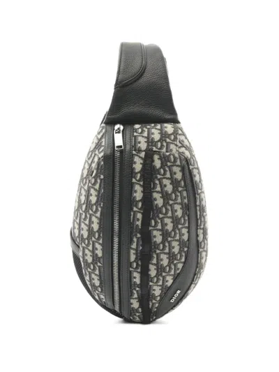 Pre-owned Dior 2010s Scarab Body Bag In Neutral