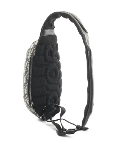 Pre-owned Dior 2010s Scarab Body Bag In Neutral