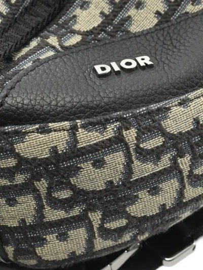 Pre-owned Dior 2010s Scarab Body Bag In Neutral