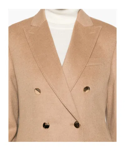 Max Mara Zibellinati Camel Drap Blazer In Pink