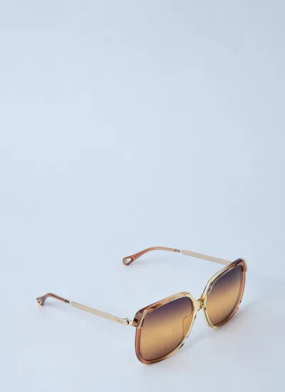 Chloé Chloe Women Printed Acetate And Metal Aly Sunglasses
