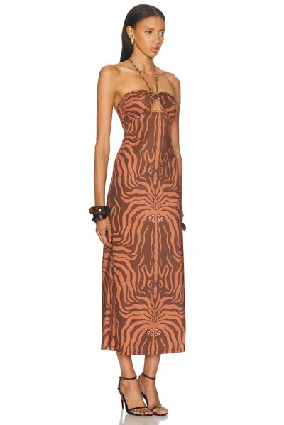 Johanna Ortiz Jungle Palms Halter Neck Midi Dress In Brown