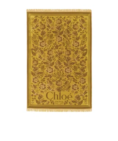 Chloé Cotton Toweling Scarf With Floral Jacquard Motif In Brown