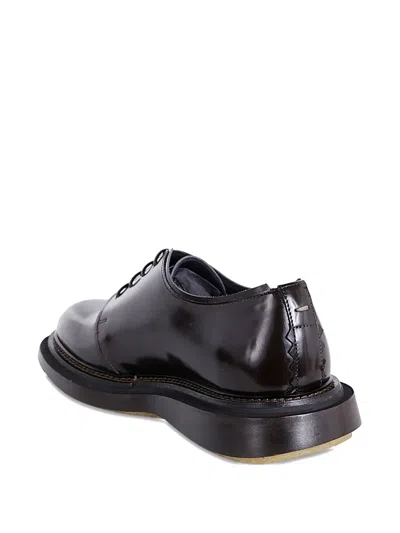 The Antipode Derby Adam In Brown