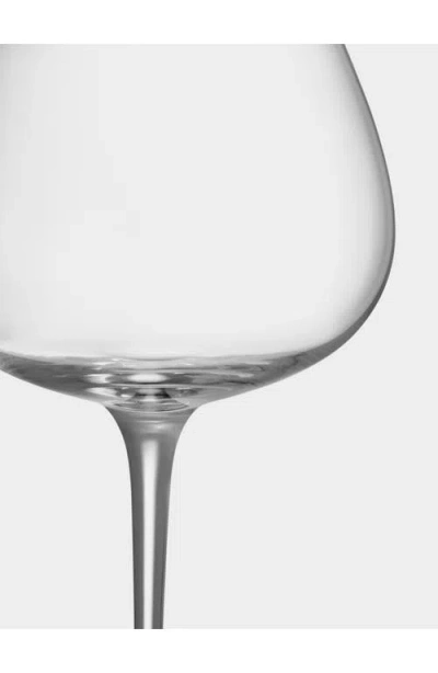 Orrefors Aroma Copa Set Of 4 Gin & Tonic Glasses