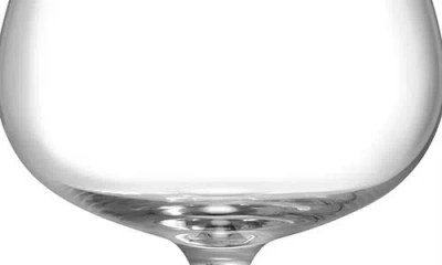 Orrefors Aroma Copa Set Of 4 Gin & Tonic Glasses