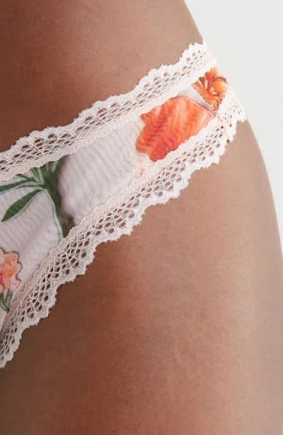 Kilo Brava Lace Trim High Leg Thong In Multi