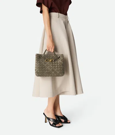 Bottega Veneta Andiamo Intrecciato Small Suede Tote Bag In Pinecone