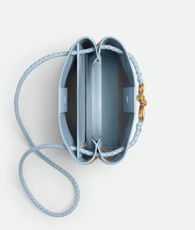 Bottega Veneta Andiamo Petit Format