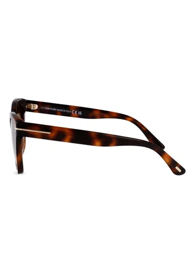 Tom Ford Haylay Sunglasses In 哈瓦那