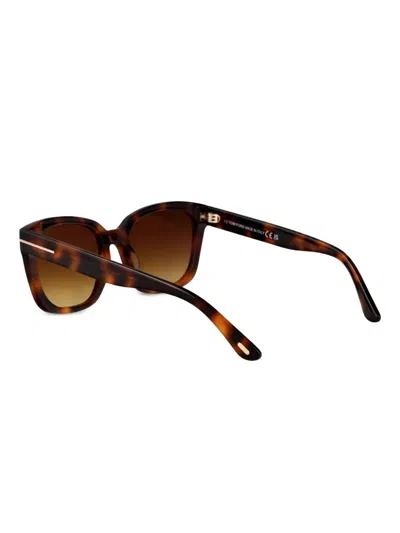 Tom Ford Haylay Sunglasses In 哈瓦那