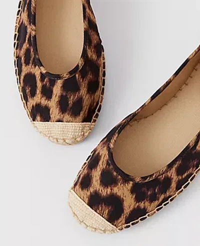 Ann Taylor Lace-up Espadrille Flats