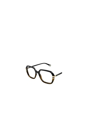 Chloé Eyewear Rectangle Frame Glasses In Black