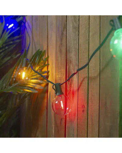Northlight 10-count Multi Color Led G50 Globe Patio Lights