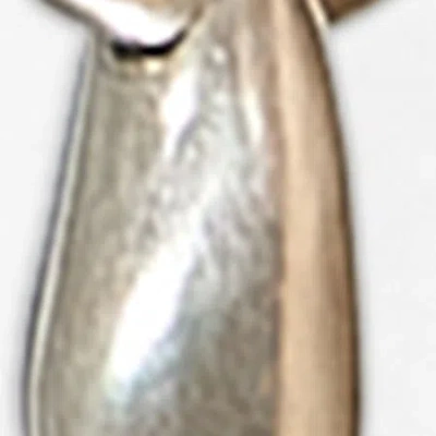 Isabel Marant Shiny Day Earrings