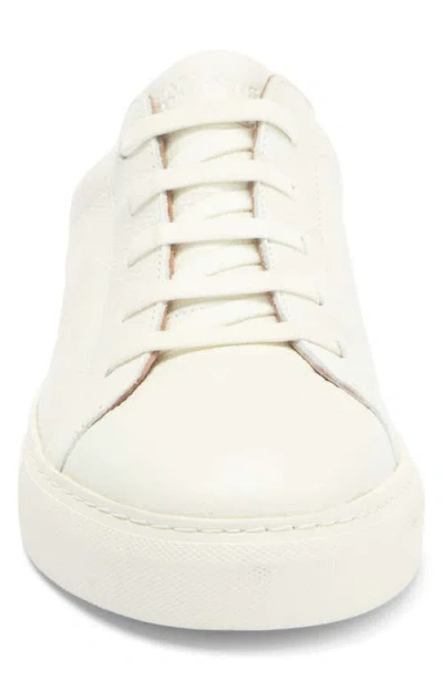 Allen Edmonds Fisher Slip-on Sneaker